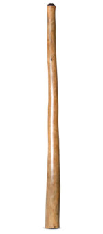 Jesse Lethbridge Didgeridoo (JL206)